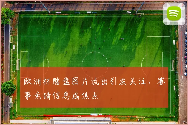 欧洲杯赌盘图片流出引发关注,赛事竞猜信息成焦点