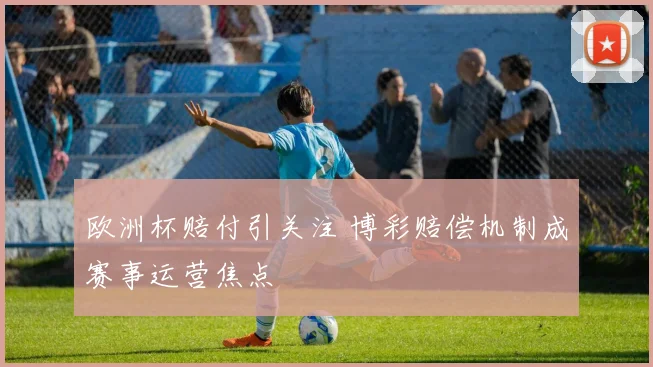 欧洲杯赔付引关注 博彩赔偿机制成赛事运营焦点