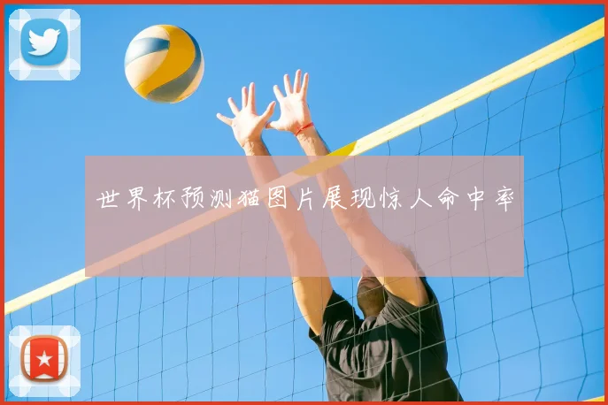 世界杯预测猫图片展现惊人命中率