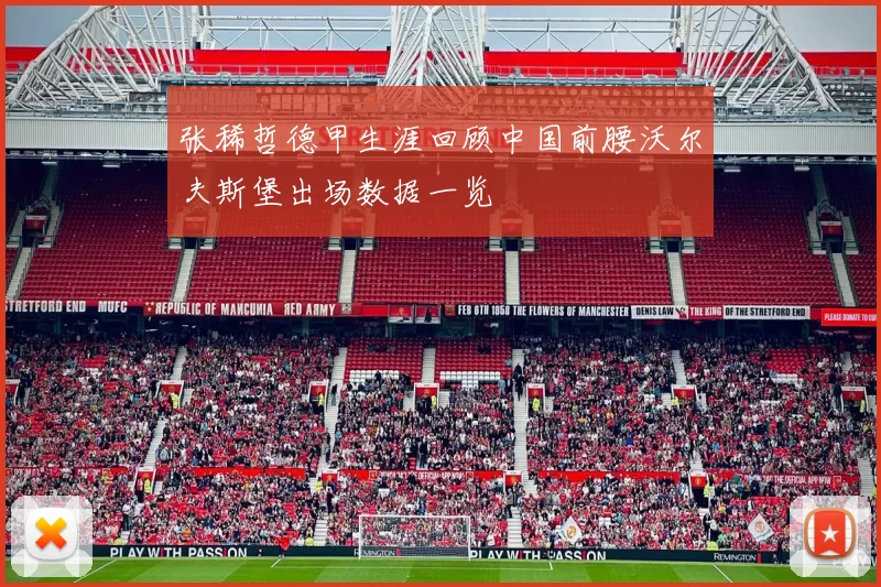张稀哲德甲生涯回顾中国前腰沃尔夫斯堡出场数据一览